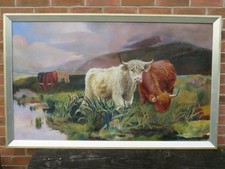 Massive Highland Cattle Oil