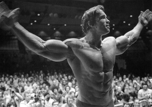 Arnold schwarzenegger - arnold,