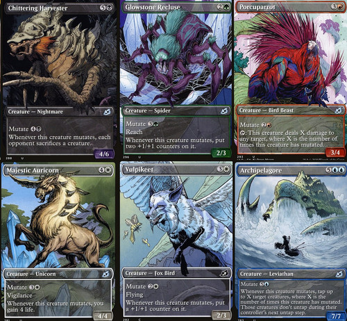 Choose your showcase ikoria - choose,