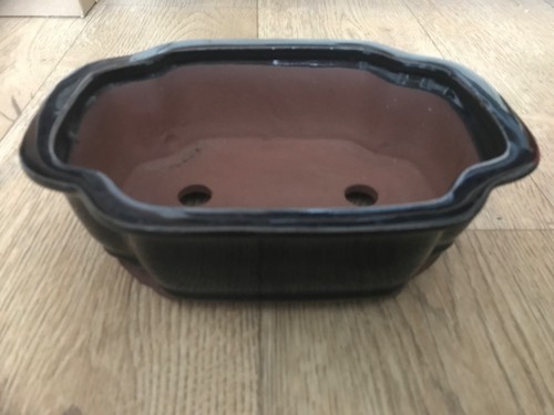 Black bonsai pot glazed - bonsai,