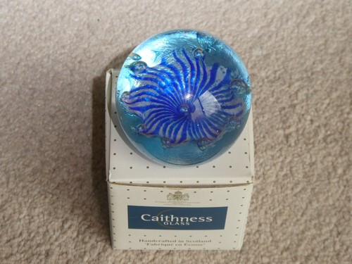 Vintage caithness petunias - caithness,