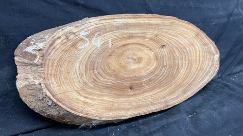 Elm reclaimed plaque - elm, 444