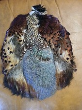 Pheasant skins with all - skins,