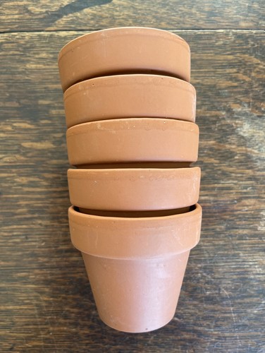 Five terracotta tiny flower - tiny,