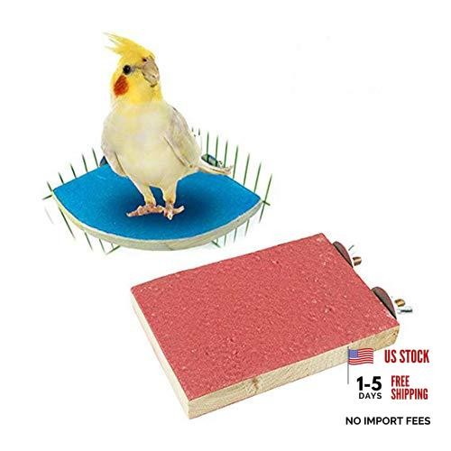 Parrot sanded stand wooden - parrot,
