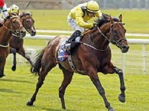 Classic winning ways - winning, & 