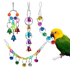 Colorful Pet Bird Parrot