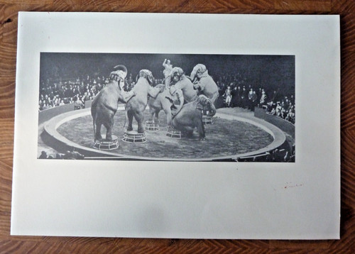 Bertram mills circus tour - circus, of