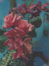 FLOWERS LENTICULAR 3D Vintage