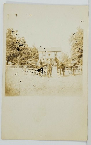 Rppc man showing his horses - man,