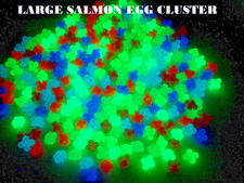 LARGE SALMON EGG CLUSTER Glows