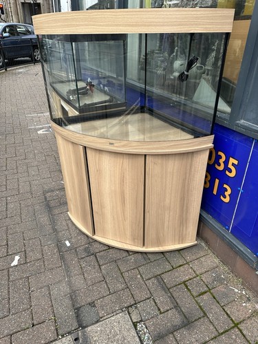 Juwel trigon 190 fish tank - fish,