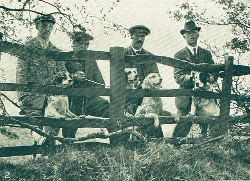 English setter club field - english,