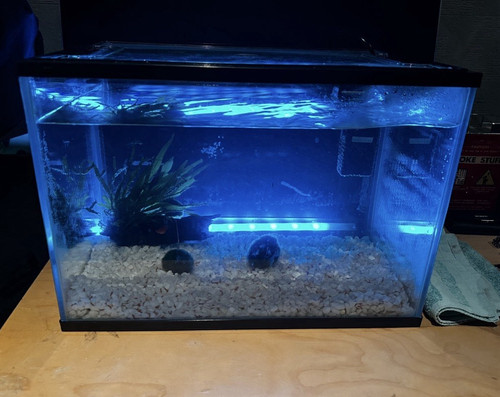 20l rectangular standard glass - 20l,