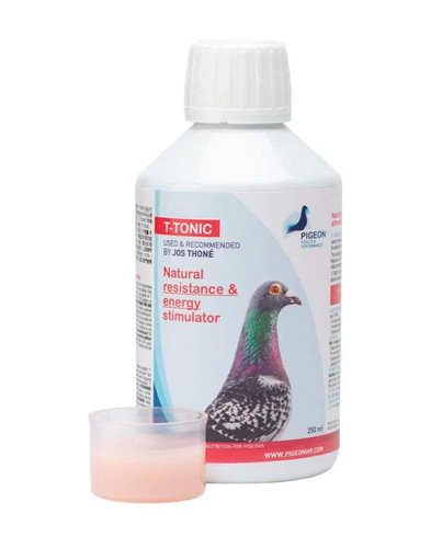 Pigeon tonic 500ml - pigeon,
