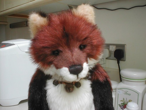 Charlie bears gumboots fox - bears,