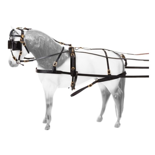 Tough1 miniature horse - jt,