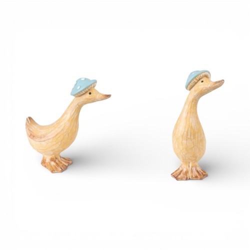 Dewey dottie set 2 - &, ducks