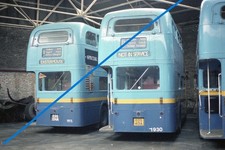 35MM BUS NEGATIVE KELVIN