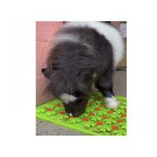 Snuffle Treat Mat for Horse, Pony, Donkey and Shetland -Stable boredom breaker