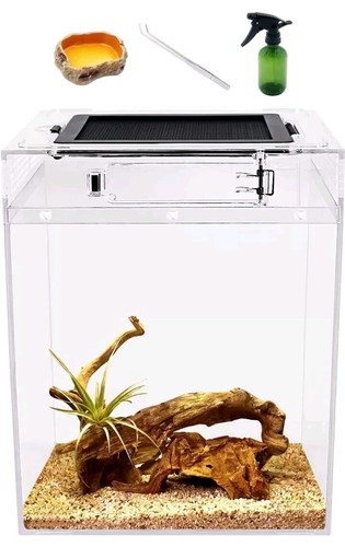Reptile growth tall - growth, terrarium