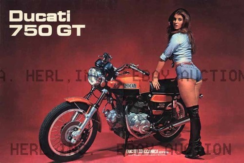 Ducati 750 1973 poster - ducati,