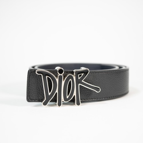 Dior shawn stussy logo - x,