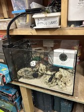 Marine Fish Tank Full Setup