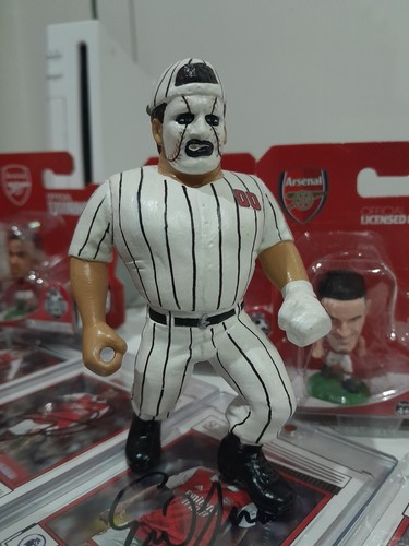 Wwe wwf hasbro - hasbro, custom