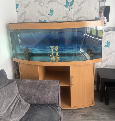 Bowfront glass fish tank - glass, with