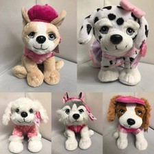  Bichon Frise Husky King