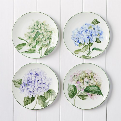 Williams sonoma hydrangea - sonoma,