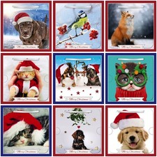 3D Lenticular Photographic Art