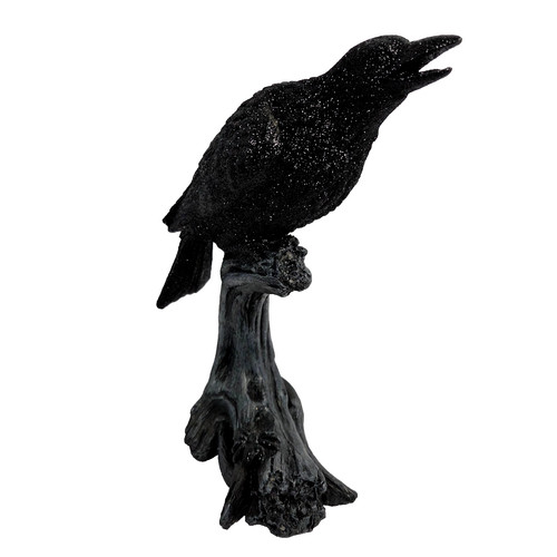 Black raven crow - black, tree