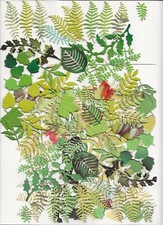 Die Cut Leaves, 200+ for Cards