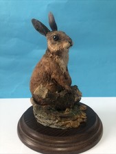 Rare Country Artists Large