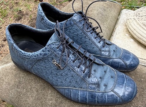 Zilli blue osrich crocodile - osrich, /