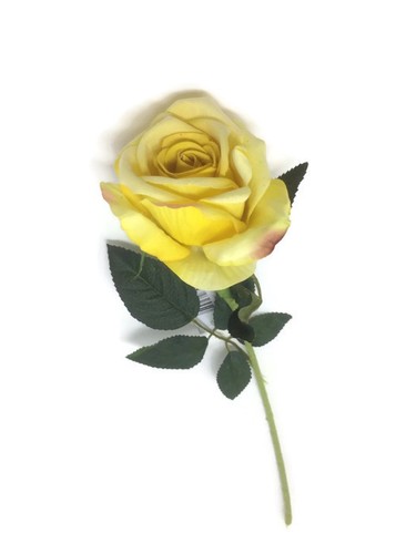 Long single stem velvet touch - stem,