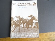 Aintree Grand National Race