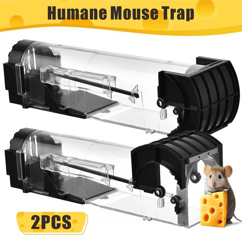 Humane mouse traps live - humane,