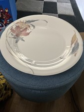 Fine China Dinner Service