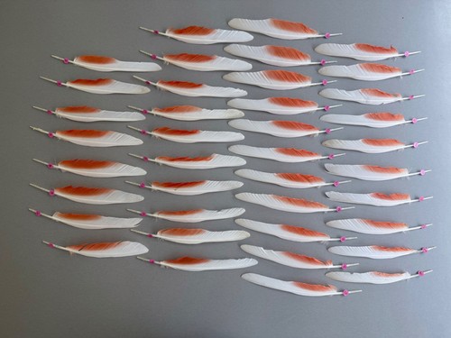 Parrot macaw feather crafts - macaw,