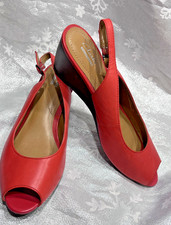 Clarks Collection Stunning