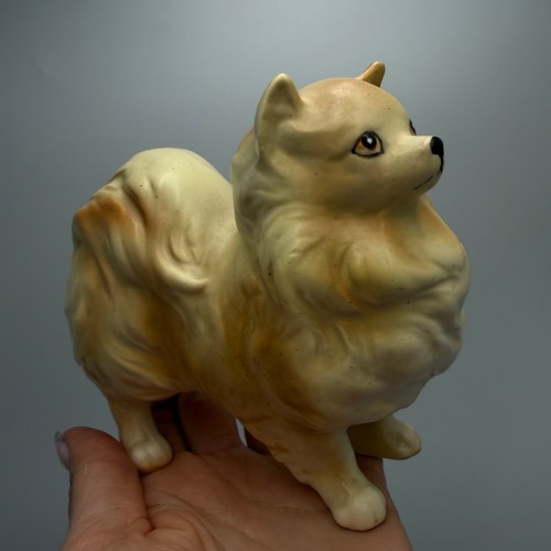 Vintage pomeranian spitz - vintage,