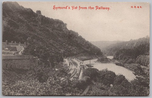 Symonds yat from - symonds,