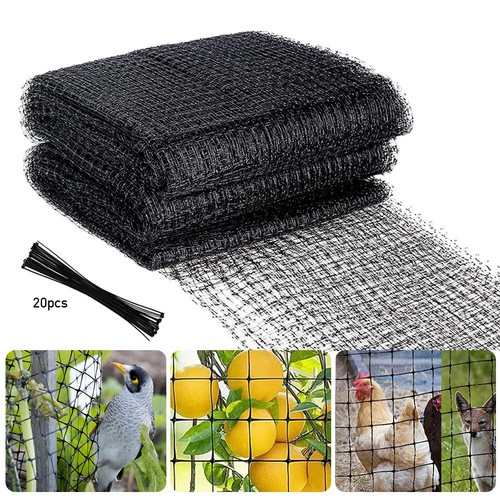 Bird netting pond - bird, net