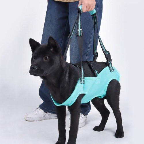 Adjustable strap dog lift - dog,