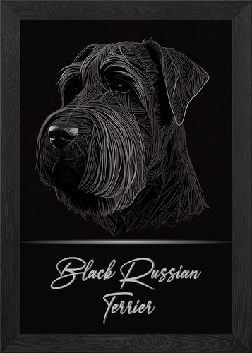 Black russian terrier - black, framed