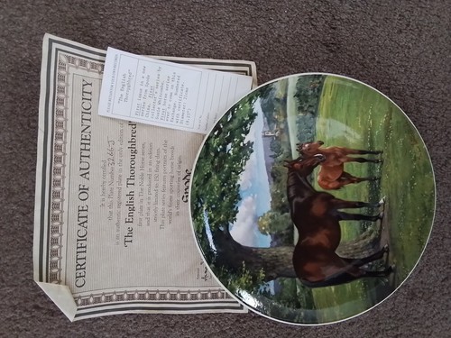 The english thoroughbred and - thoroughbred,