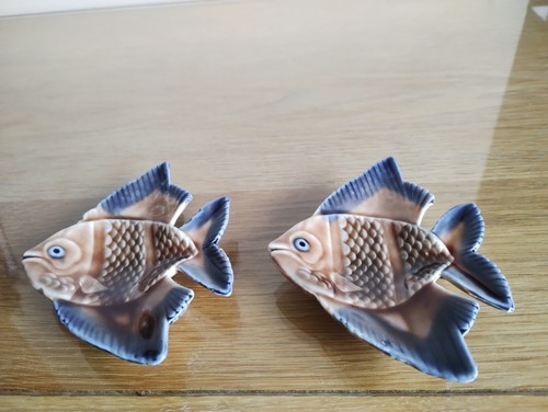 Wade angel fish - wade, (2)